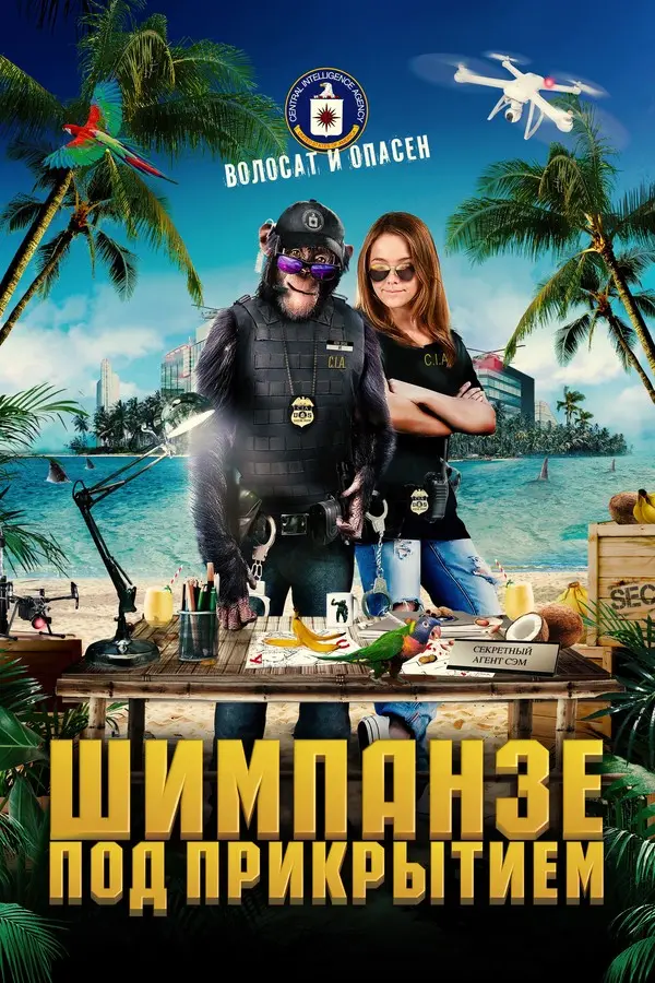 Шимпанзе под прикрытием