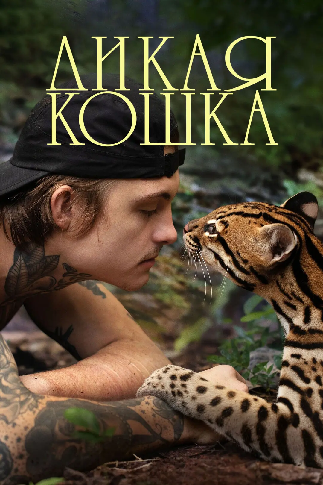 Дикая кошка