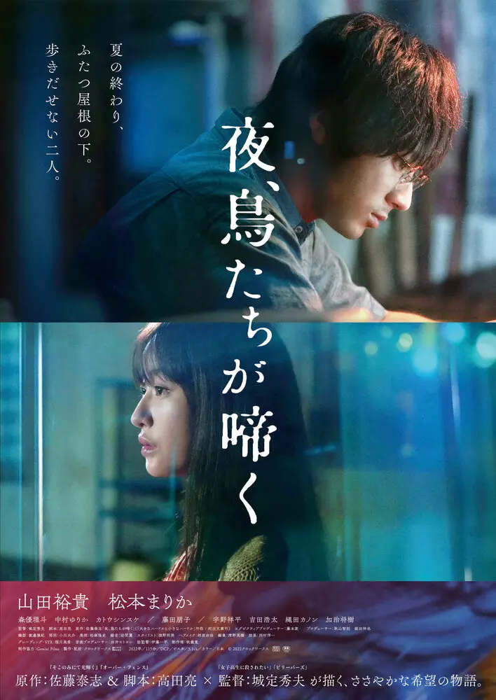 Птицы, что поют по ночам 