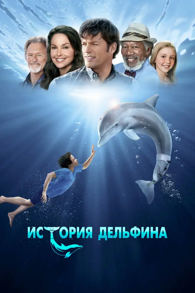 История дельфина