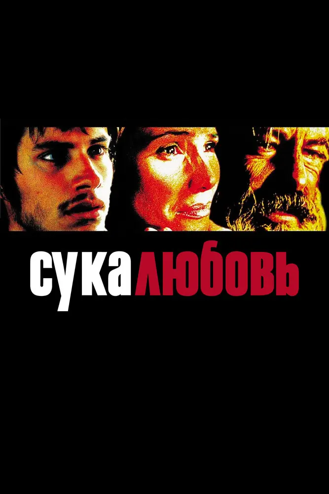 Сука-любовь 