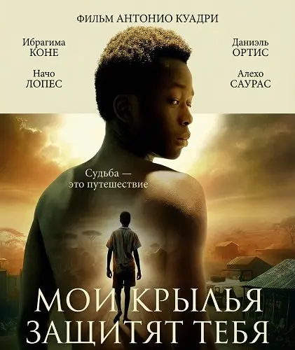 Мои крылья защитят тебя