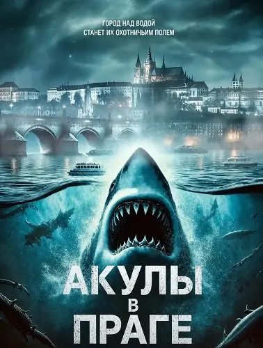 Акулы в Праге