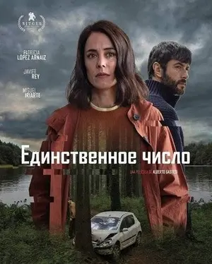 Сингулярность
