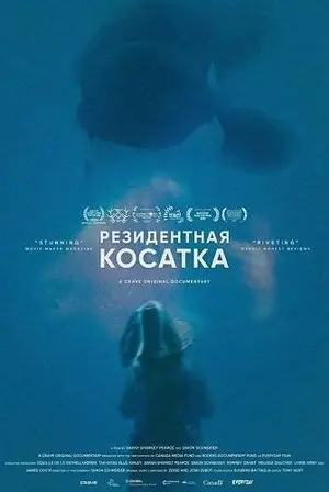Резидентная косатка