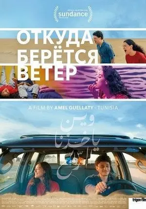 Откуда дует ветер