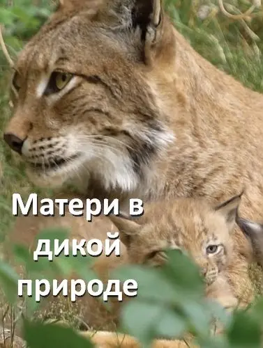 Матери в дикой природе