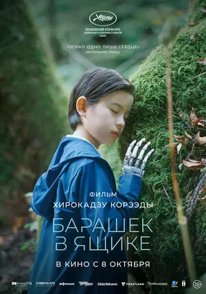 Барашек в ящике