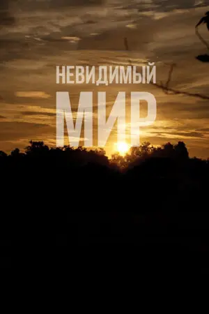 Невидимый мир